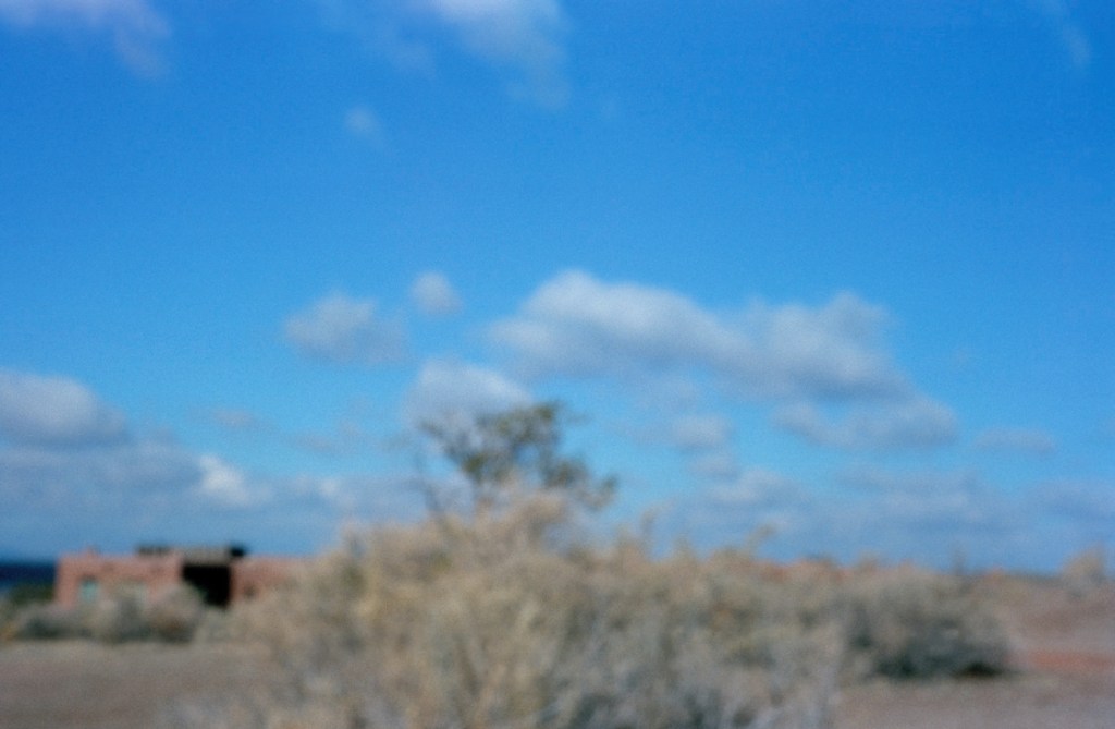 Brent.Laura.sageandsky